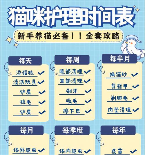 如何制定科学合理的杜高犬护理时间表（以宠物为主，让你的杜高犬健康成长）