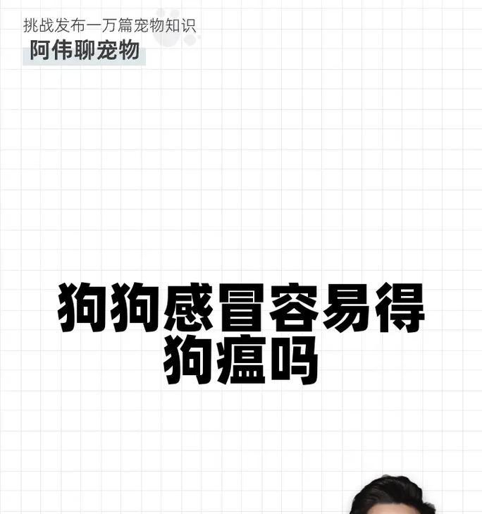宠物家庭护理指南（掌握关键特征，及早发现和应对狗狗感冒的迹象）