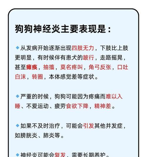 狗狗是否需要补充维生素？（为你的狗狗提供全面的营养保障）