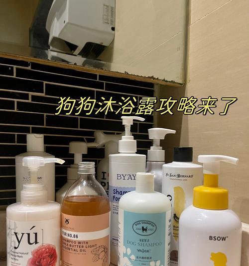 如何处理狗狗皮肤糜烂掉毛问题（细心护理与合理治疗，让你的狗狗重拾健康（）