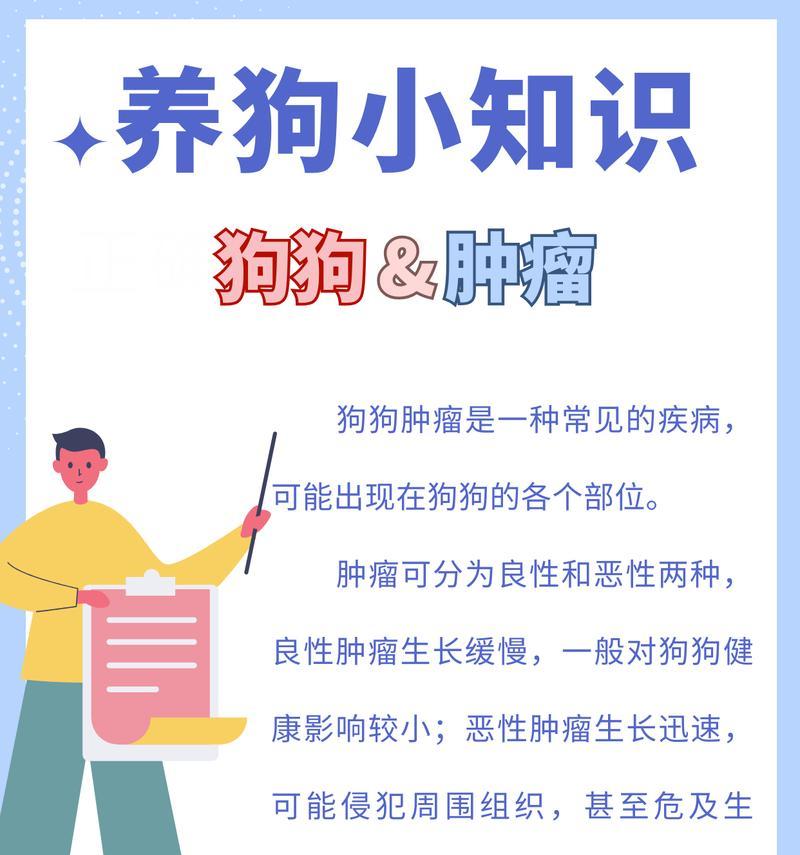 狗狗感冒咳嗽的应对方法（铲屎官必备小知识，帮助狗狗战胜感冒）