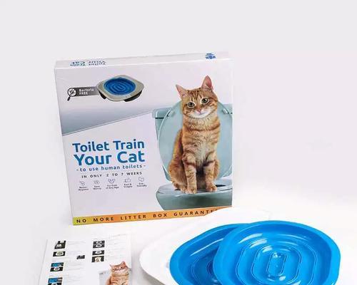 如何快速教会小猫咪上厕所（简单有效的训练方法和技巧）