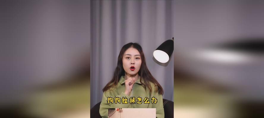 狗狗拉稀的原因和处理办法（常见的几个拉稀原因及应对措施）