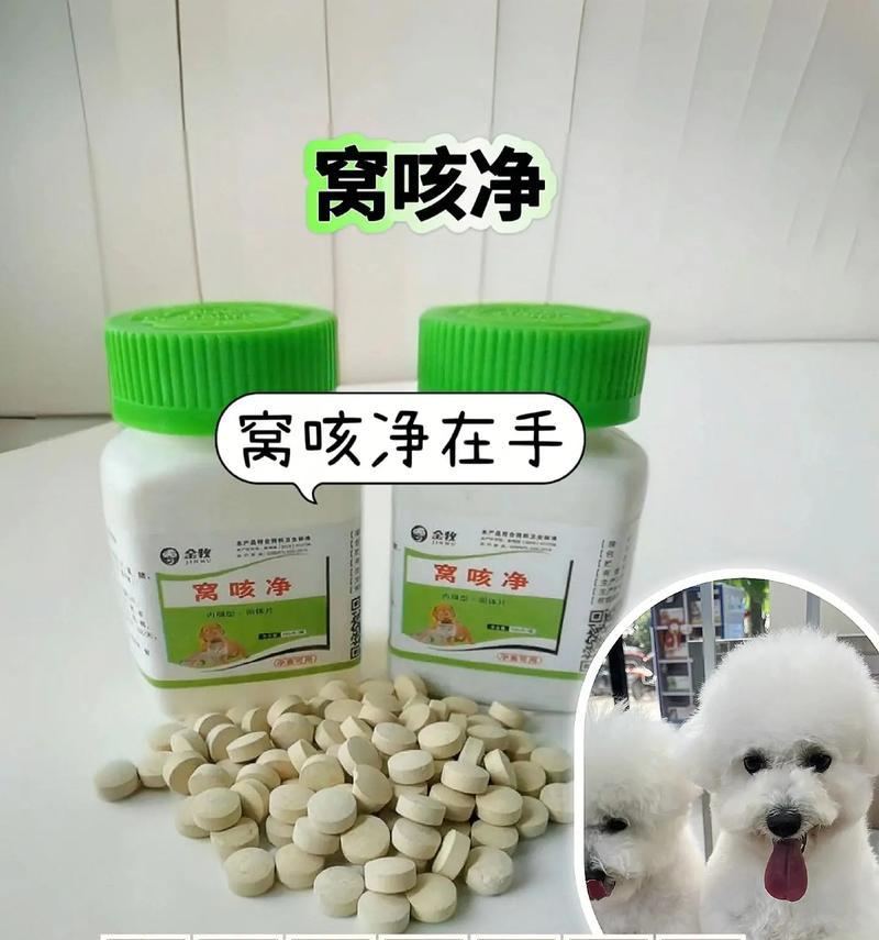 快速有效治疗狗狗咳嗽的方法（了解狗狗咳嗽的原因及如何进行正确的治疗）