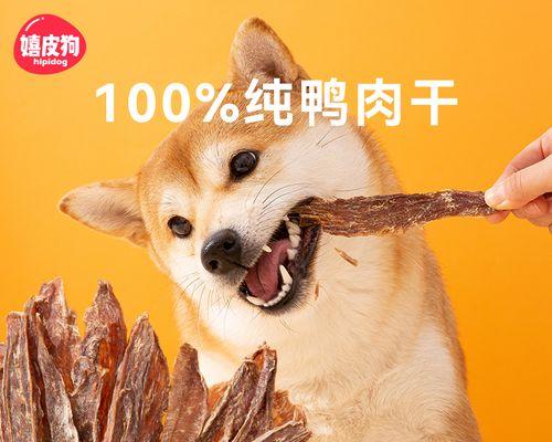 科学喂养狗狗的零食——关注四大注意事项（了解狗狗的饮食需求，让零食成为健康的加分项）