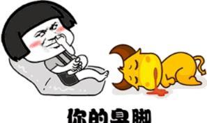 如何避免狗狗的脚臭问题？（5个引起狗狗脚臭的原因及有效解决方法）