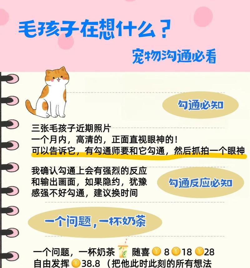 新手养宠必读（培养良好习惯，健康成长！（）