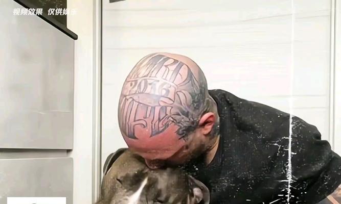 狗狗抑郁症（探究狗狗抑郁症的成因，以及如何帮助它们恢复快乐）