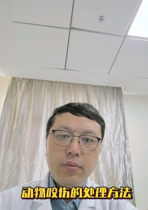 被宠物咬伤抓伤的应对措施（如何预防和处理宠物咬伤抓伤，避免狂犬病的传播）