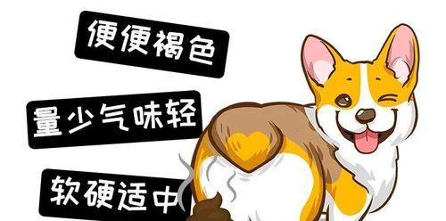揭秘狗狗抽搐的原因（了解狗狗抽搐的几个常见原因，保障宠物的健康快乐！）