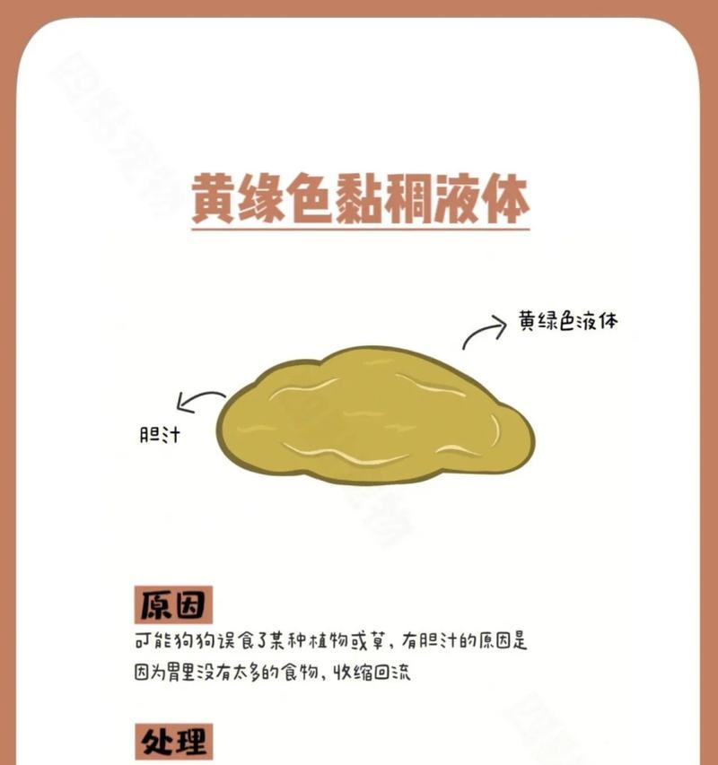 狗狗呕吐不要慌，掌握6种情况与处理方法（解决狗狗呕吐的有效方法，保持宠物的健康与安全）