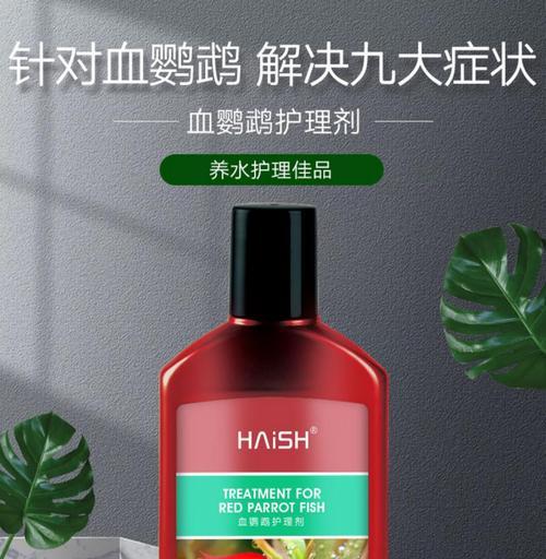 治疗鹦鹉鱼烂头病的有效方法（预防与治疗鹦鹉鱼烂头病的关键措施）