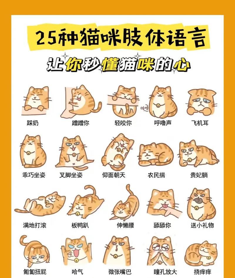 猫咪之间的交流之道（通过气味和肢体语言，畅快交流）