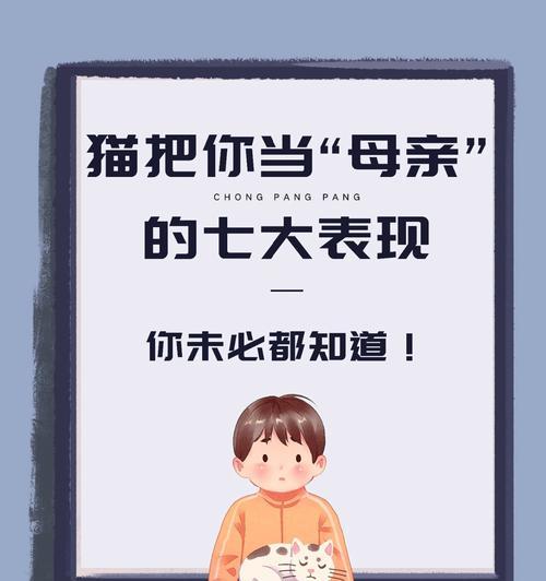 小心！为什么不能随便碰猫咪的肚子？（猫咪腹部的5个敏感区域和触碰原因揭秘）