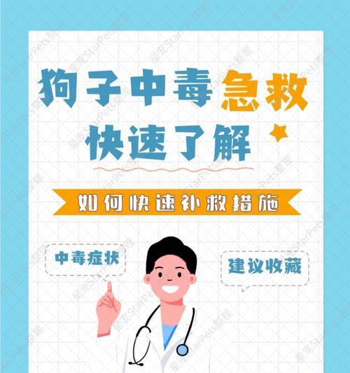 急救措施（常见中毒症状及催吐方法，保护宠物安全）