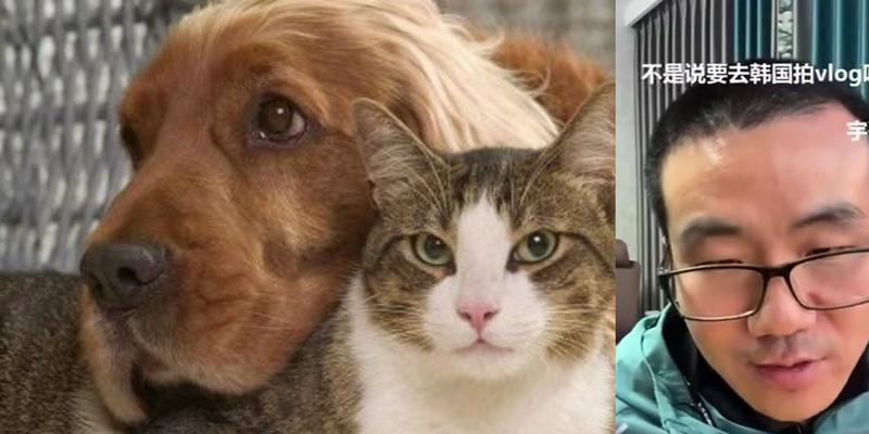狗与猫（探讨狗和猫养宠的差异与喜好）