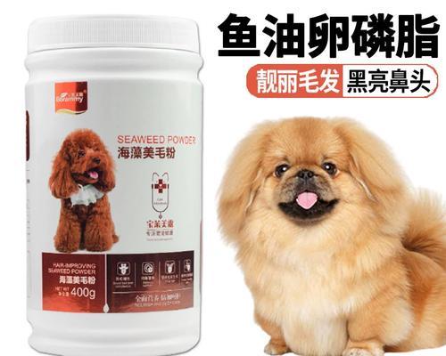 解决京巴狗不吃东西的方法（如何帮助你的京巴狗恢复食欲）