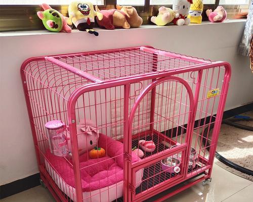 让泰迪幼犬适应狗笼，轻松养狗新手也能搞定（让泰迪幼犬喜欢狗笼，培养安全感的关键）