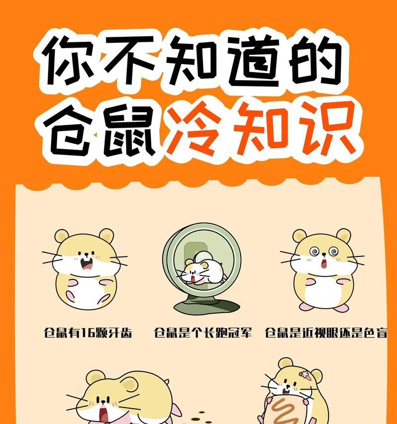 仓鼠腿断后的生存能力及寿命（从两个方面考虑，揭示仓鼠腿断后的生存状态和寿命变化）