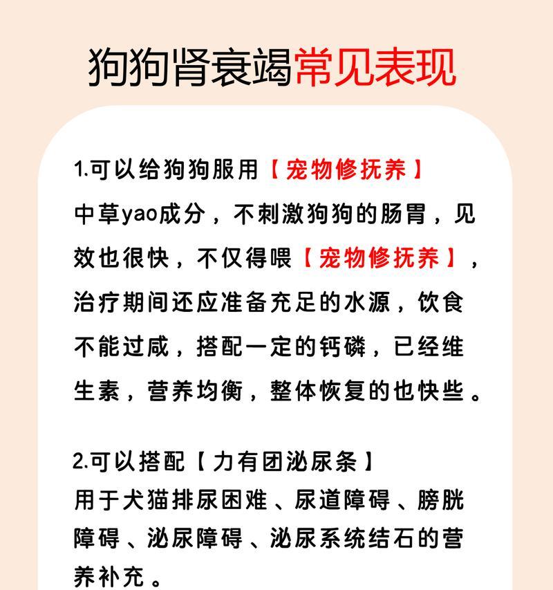 拯救狗狗的肾衰竭，坚持不放弃！（肾衰竭治疗的希望，从这里开始！）
