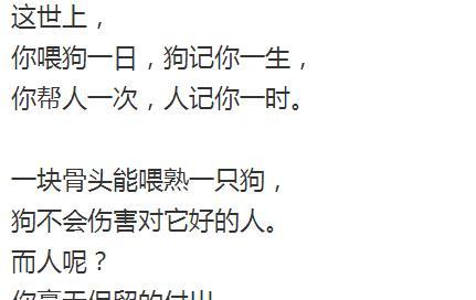 如何有效处理家狗狗常见的肠胃不适问题（主人必知七种常见肠胃问题及解决方法）