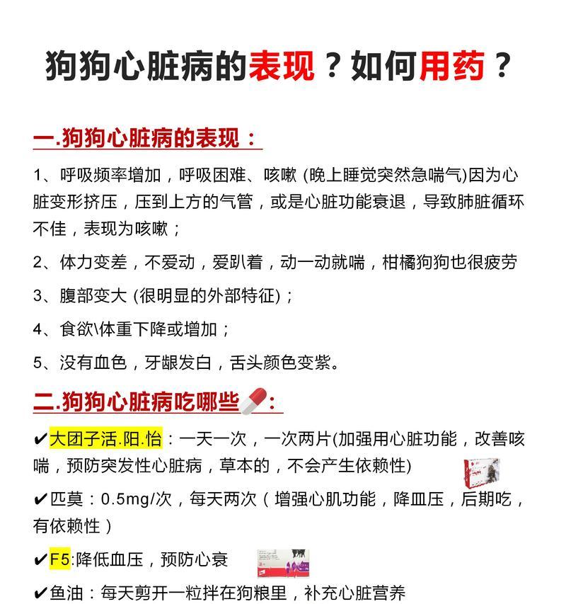 狗狗咳嗽的原因及预防措施（狗狗咳嗽可能的病因和应对方法）