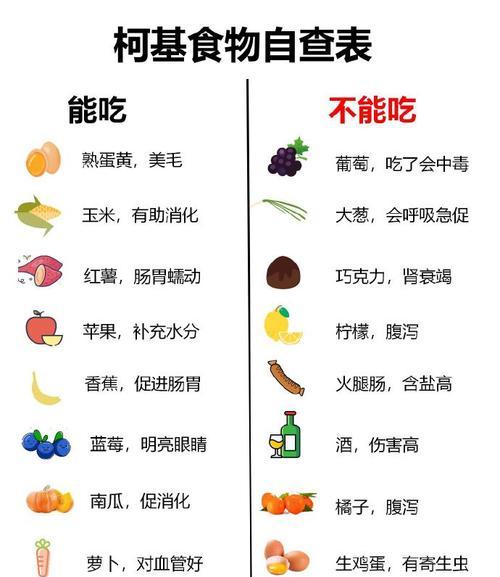 狗狗的寿命究竟有多长？（探究影响狗狗寿命的各种因素）