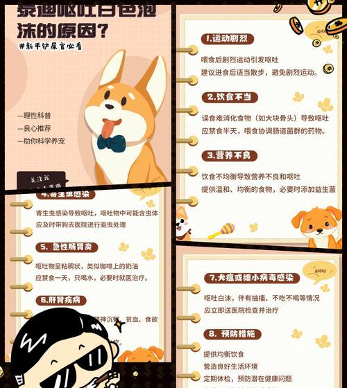 狗狗舔人的行为背后的含义（了解狗狗舔人的原因及其表达的意思）