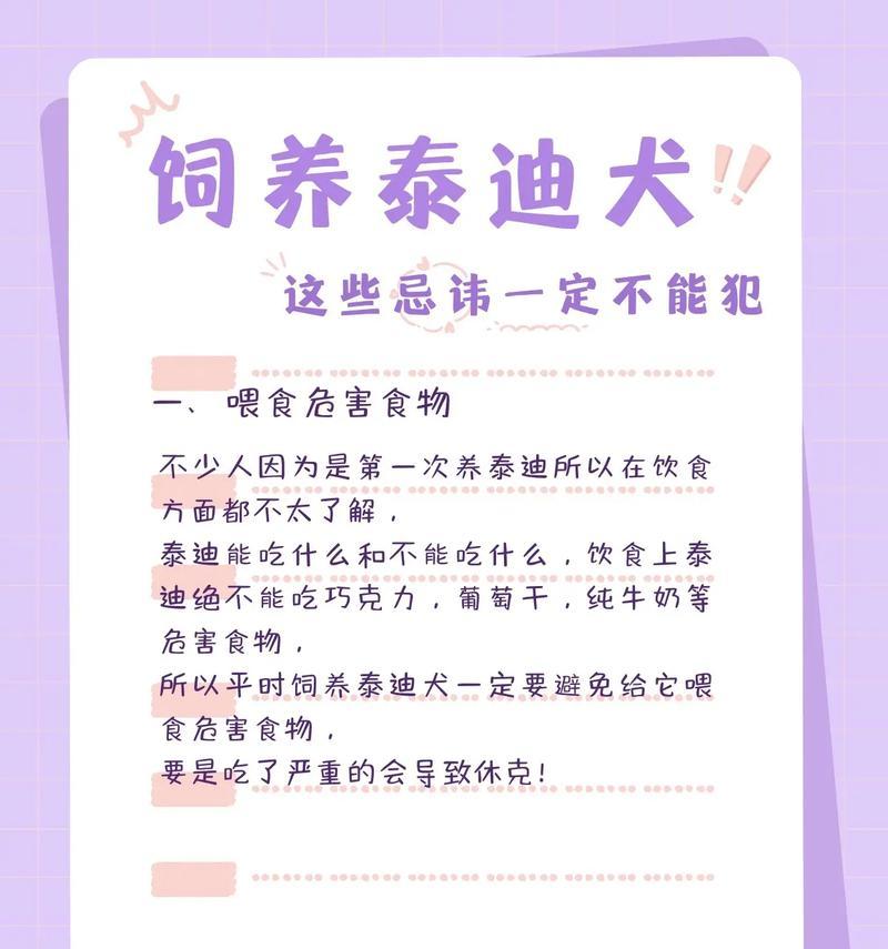 如何正确饲养泰迪幼犬（全面了解泰迪犬的饲养要点与注意事项）