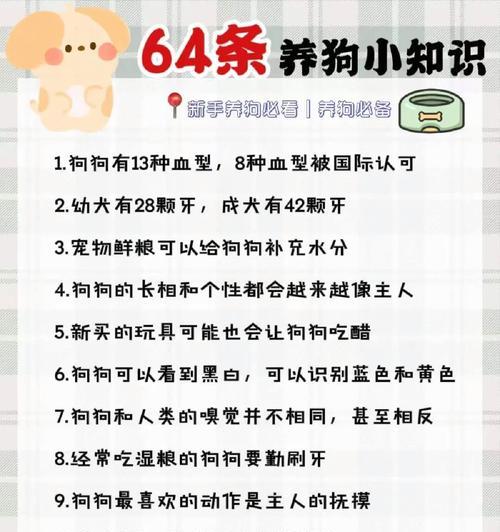 如何纠正狗子偷吃的坏习惯（教你有效解决狗子偷食问题，让它变成乖巧听话的好宠物）
