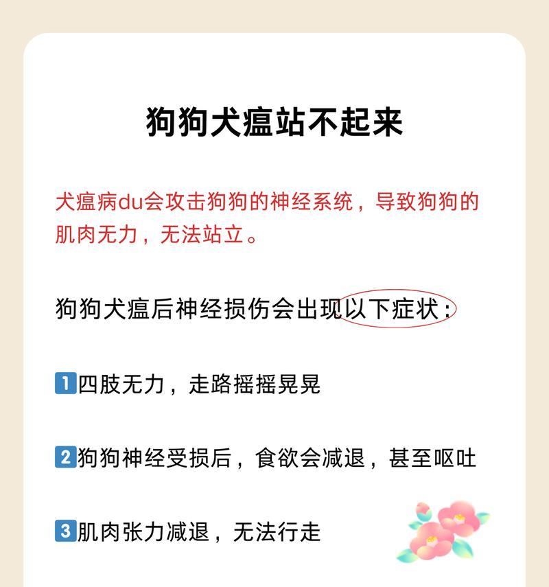 犬瘟热（症状、治疗方法及预防措施）