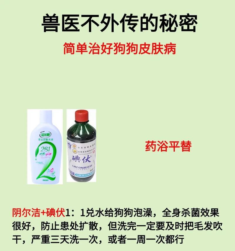 让你的狗狗远离皮肤病的5个简单方法（狗狗健康肌肤必备，掌握关键步骤再也不为皮肤病烦恼！）
