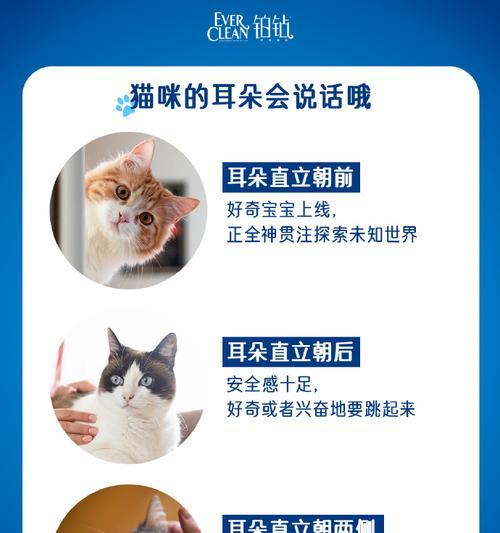 为什么有的猫咪会爱吃猫砂？（探究猫咪食用猫砂的原因及可能的解决方案）