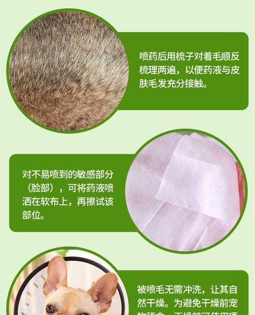 狗狗驱虫清理方法汇总（体内体外驱虫，有效保护宠物健康）