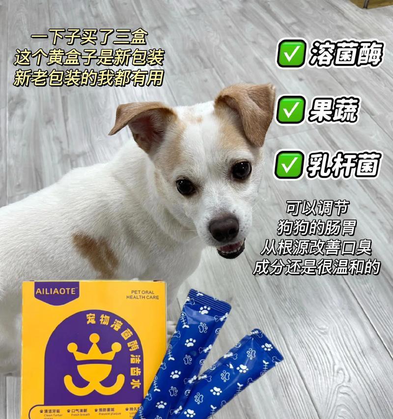 揭秘狗狗口臭的六大常见原因（解析狗狗口臭问题，帮助你找到问题根源）