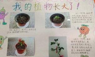 狗狗成长的奥秘（从幼犬到成年犬，逐步解密狗狗成长的奥秘）