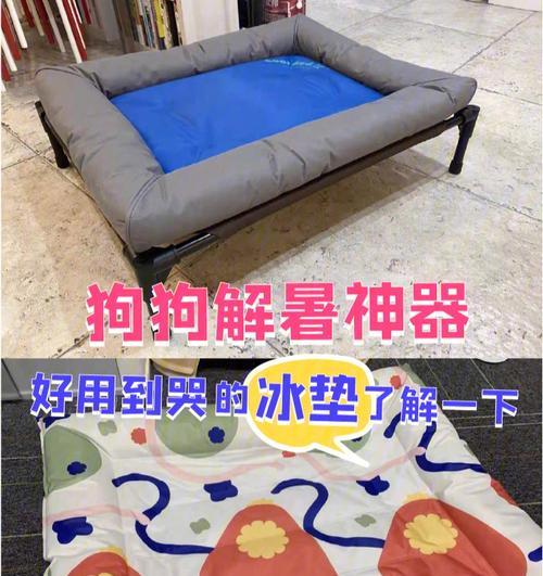 保护宠物狗健康幸福的方法（避免不计划的狗狗繁殖以及狗狗怀孕的有效措施）
