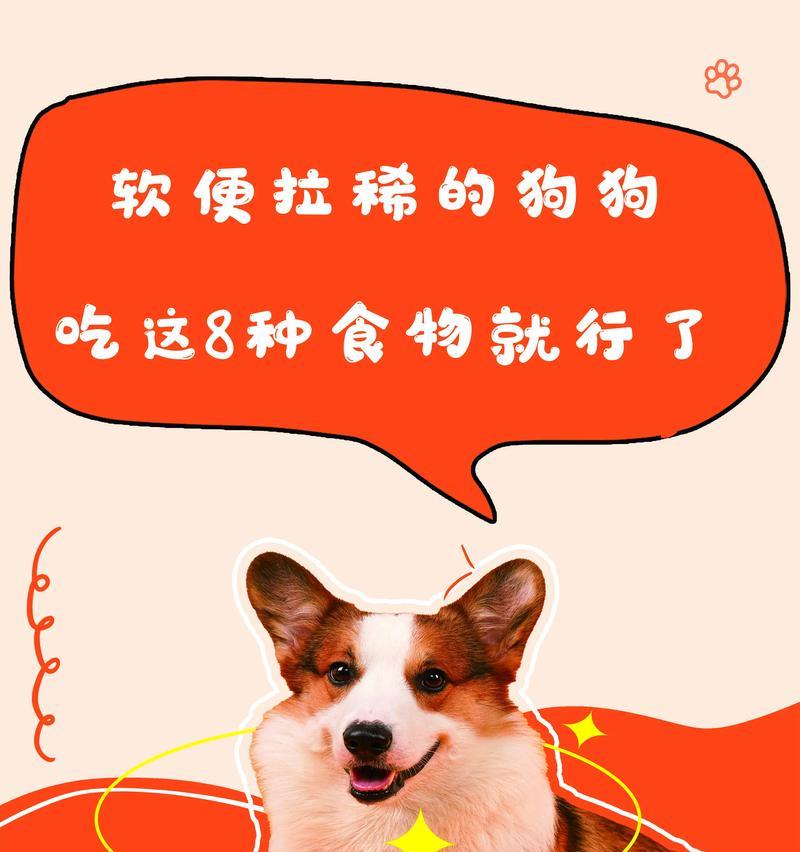狗狗不能吃的食物和药物（了解狗狗的禁食清单，守护它们的健康）