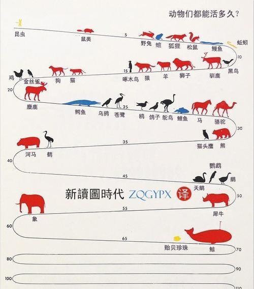 如何让你的狗狗长高？抓住这5个生长线是关键（掌握这些秘诀，让你的狗狗长得高大健康）