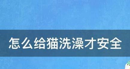 在家给猫咪洗澡的三招轻松搞定（自己为爱猫洗澡，学会这三招让洗澡变得简单容易）