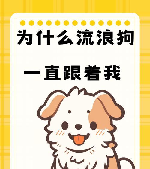 狗狗最爱的6种食物——为您的宠物提供健康美味的饮食（满足您狗狗的味蕾，让它健康快乐地成长）
