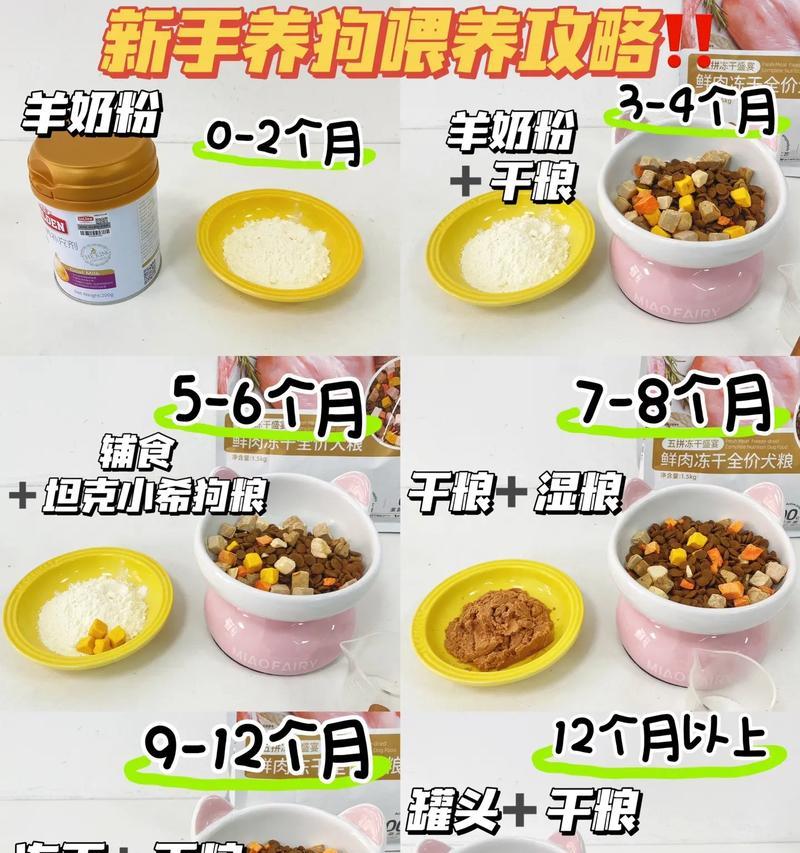 幼犬喂养攻略（为你的幼犬提供最佳的营养与关爱）