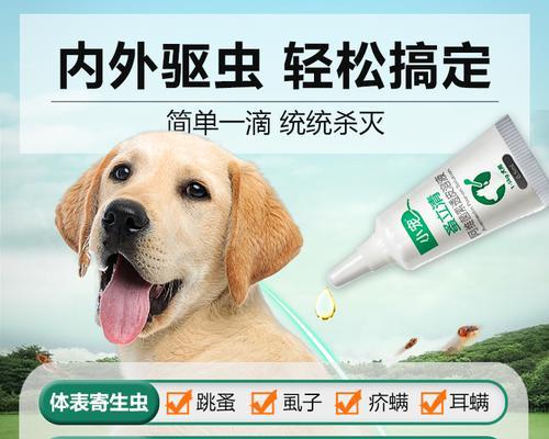 选择狗狗体外驱虫药前，你需要了解这些（口服还是外服？让我们来帮你搞清楚）