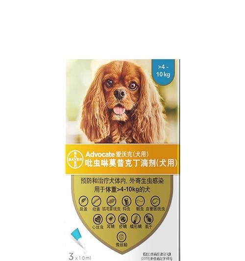 汪星人脚垫角化过度的预防和治疗方法（了解汪星人脚垫角化过度的原因与预防措施，）