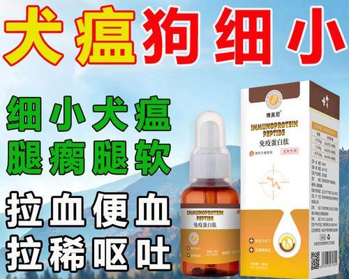 狗狗流鼻涕咳嗽的原因及区分感冒与狗瘟的方法（流鼻涕咳嗽是感冒还是狗瘟？如何判断？）