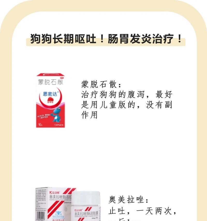 狗狗呕吐的治疗方法（了解常见的狗狗呕吐原因及相应的治疗方法）