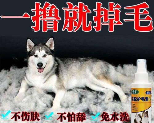 通过饮食调理，让狗狗毛发光泽又漂亮（5种食物帮助解决狗狗毛发问题）