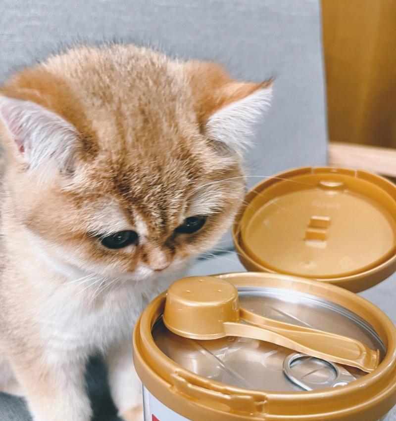 猫咪适合喝什么奶粉？（以羊奶粉为主的适合猫咪的奶粉种类）