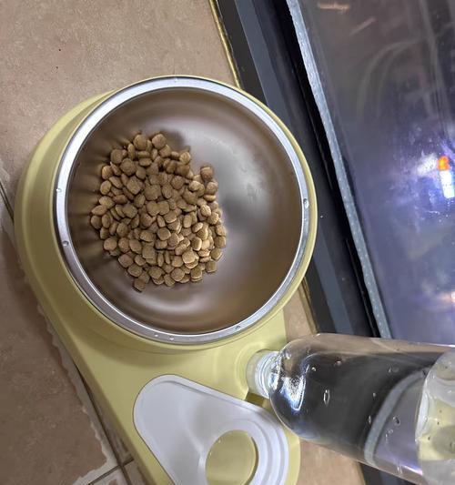 给狗泡软狗粮的正确方法（温水是更好的选择，）