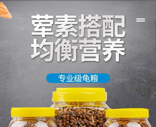 龟龟长大的正确饲养之道（活体饲料的重要性及饲养技巧）